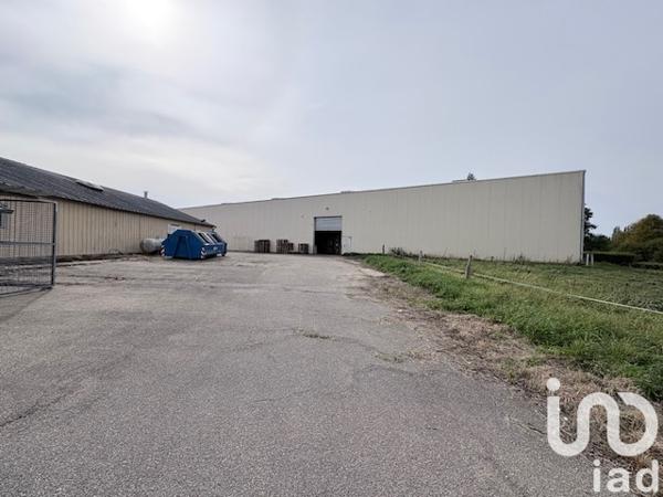 Maison à vendre 10 pièces 2 105 m² Grand Bourgtheroulde