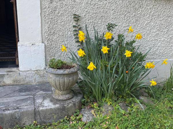 Maison de maître à fort potentiel !