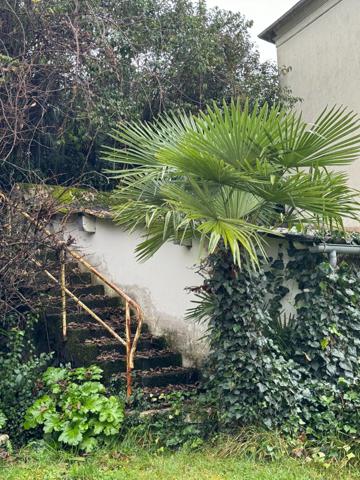 Maison de maître à fort potentiel !