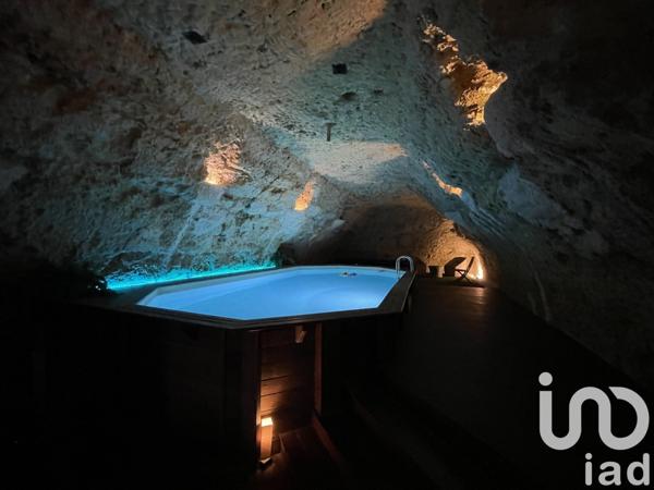 Gîte 14 pièces de 550 m² à Amboise (37400)