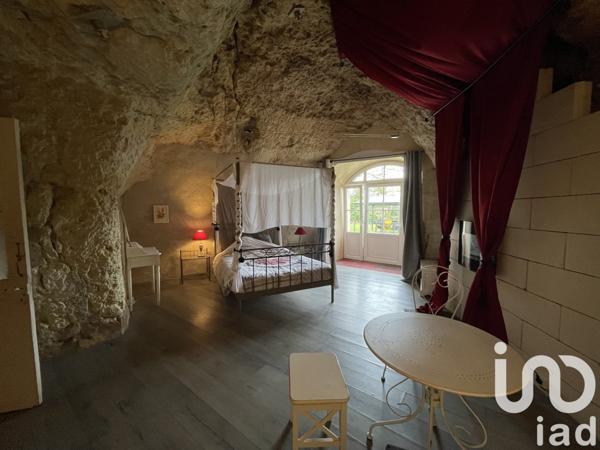 Gîte 14 pièces de 550 m² à Amboise (37400)