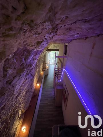 Gîte 14 pièces de 550 m² à Amboise (37400)