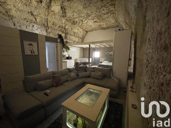 Gîte 14 pièces de 550 m² à Amboise (37400)