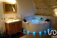 Gîte 14 pièces de 550 m² à Amboise (37400)