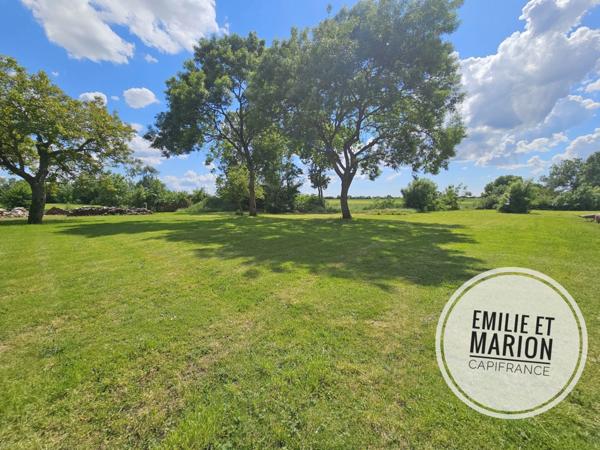 Terrain à vendre SAINT GEORGES DU BOIS (17) - Campagne- Libre de constructeur