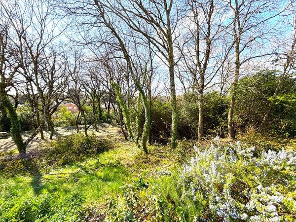 Appartement 2 pièces - 42 m² Exclusivité efficity