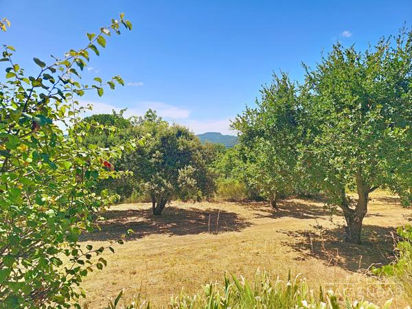 Lauris (84360) Toute l'authenticité de la Provence dans le Luberon sud