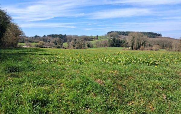 Vente Terrain Neuvic-entier   