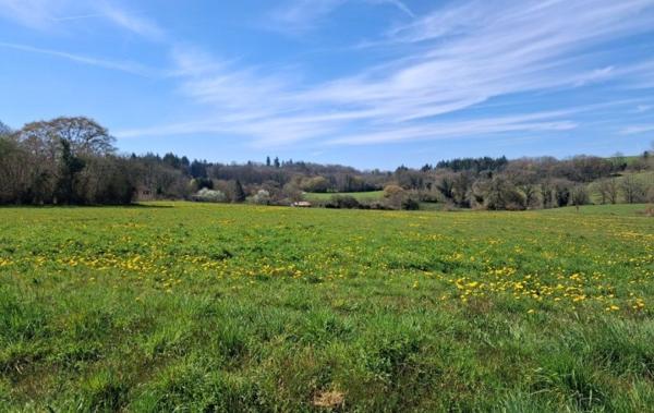 Vente Terrain Neuvic-entier   