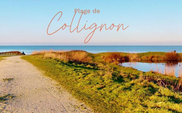 Appartement à vendre    2 pièces • 49,07 m2 Tourlaville