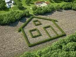 Le Born (31340) TERRAIN A BATIR AU BORN 945 m²