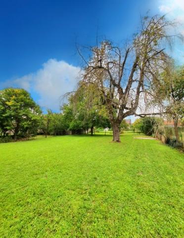 Maison individuelle Verdun 130 m²