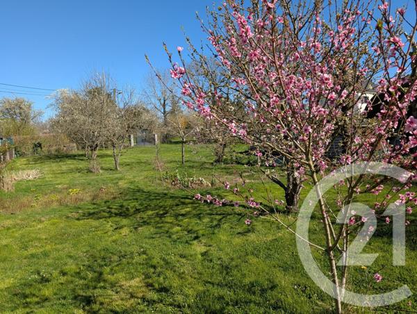 Maison à vendre  5 pièces - 95 m2 LE MAGNY - 36