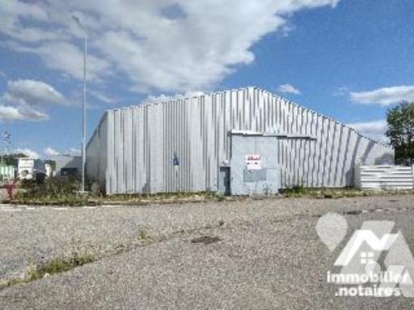 CHASSE SUR RHONE. LOCAL D'ACTIVITES