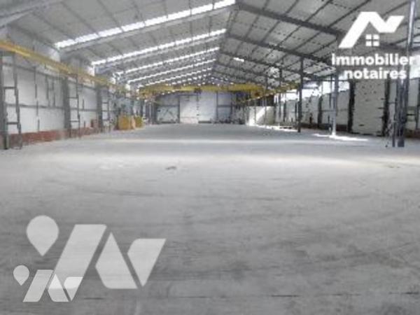 CHASSE SUR RHONE. LOCAL D'ACTIVITES