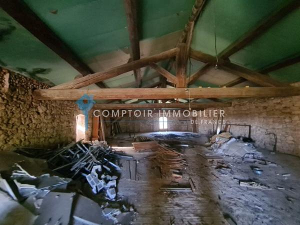 Maison 20 pièce(s) 10 chambre(s) 1000 m²