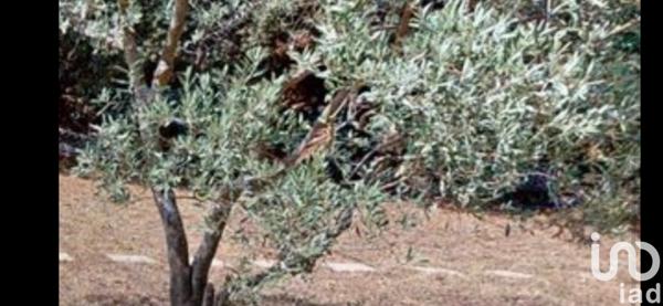 Maison à vendre 4 pièces 116 m² Trets