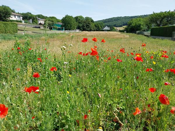 Terrain Tallenay 746 m2