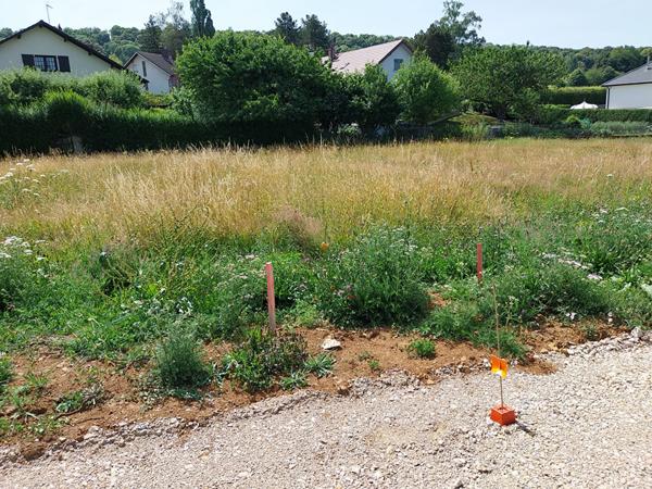 Terrain Tallenay 746 m2