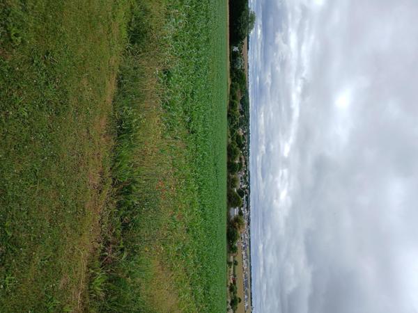 THAON. Terrain viabilisé de 489 m². 115.000 €.