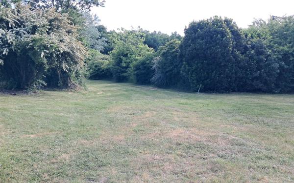 Maison à vendre    3 pièces • 100 m2 Thourie