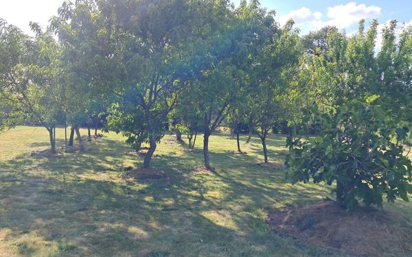 Maison à vendre    3 pièces • 100 m2 Thourie