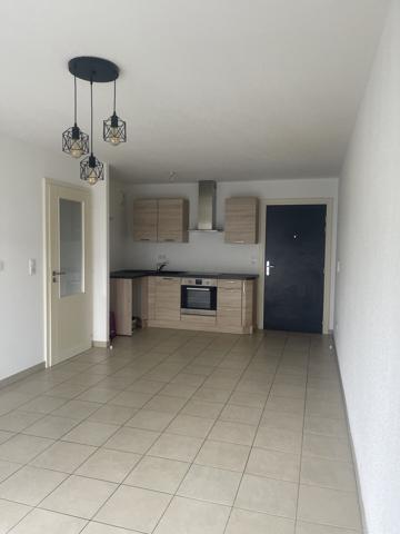Appartement F2 Riedisheim