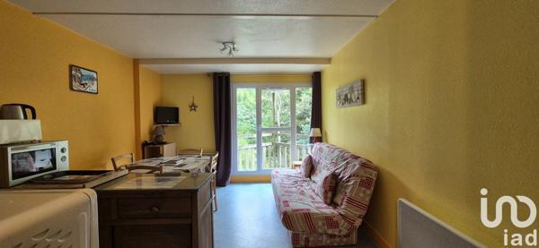 Appartement 2 pièces de 30 m² à Laveissière (15300)