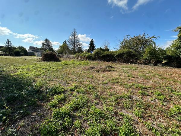 86200 LOUDUN Terrain Loudun 1243 m2