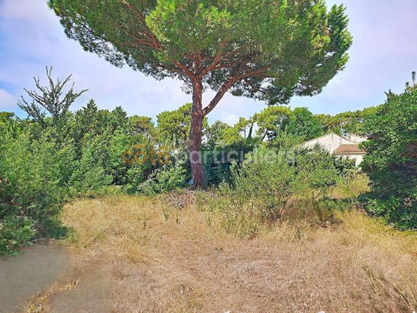 Vente
                Maison138,15 m² - 5 Pièces -
                    RIVEDOUX PLAGE (17940)