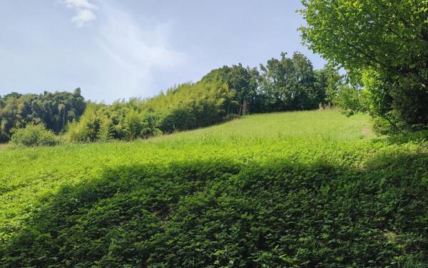 Terrain à vendre    Labatut