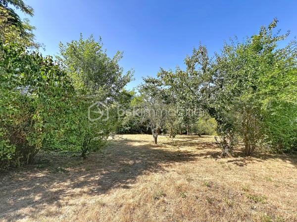 Dans un secteur calme d’Ormoy, découvrez cette belle maison familiale d’environ 160 m² habitables, implantée sur un magnifique terrain arboré de 1 735 m², offrant de beaux volumes, de nombreuses possibilités d’aménagement et un cadre de vie particulièrement agréable.

Dès l’entrée, vous serez séduits par une belle entrée de 12 m² avec rangements, qui dessert une cuisine aménagée et équipée de 14 m², complétée par une arrière-cuisine pratique pour le rangement et l’organisation du quotidien.
Le rez-de-chaussée propose également un spacieux salon/séjour double de 25 m², chaleureux et convivial, agrémenté d’une cheminée ouverte, ainsi qu’une chambre de 16 m2, idéale pour accueillir famille, invités ou aménager un espace de télétravail. Un WC complète ce niveau.
À l’étage, un couloir dessert trois chambres, offrant à chacun son espace, ainsi qu'une buanderie-dressing, une salle d’eau et un WC.
La maison bénéficie également de combles aménageables, offrant un potentiel supplémentaire intéressant selon vos envies et vos besoins : chambre, bureau, salle de jeux, espace de loisirs ou rangement.

À l’extérieur, vous profiterez d’un terrain exceptionnel de 1 735 m², véritable atout de cette propriété. À l’avant, une terrasse avec cuisine d’été et espace barbecue invite aux repas en famille ou entre amis. À l’arrière, une seconde grande terrasse s’ouvre sur un vaste jardin arboré, agrémenté notamment de nombreux arbres fruitiers, offrant un cadre verdoyant, paisible et préservé.
Côté confort, la maison est équipée d’un chauffage au gaz et de fenêtres en double vitrage.
Un emplacement pratique au quotidien : la maison bénéficie de la proximité des écoles d’Ormoy, des commerces et services de proximité, ainsi que des commerces et zones commerciales de Mennecy, Villabé et Lisses. Les accès routiers permettent également de rejoindre facilement les principaux axes du secteur. Ormoy dispose notamment de trois écoles sur la commune et de plusieurs commerces et services.
Une maison familiale aux beaux volumes, avec un terrain rare par sa superficie et son potentiel, à découvrir sans tarder !
