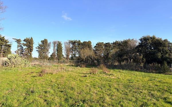 Terrain à vendre    Ollioules