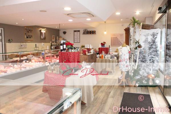 Commerce à vendre 11 pièces de 300 m²