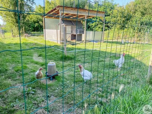 Charmante maison avec dépendances et piscine
