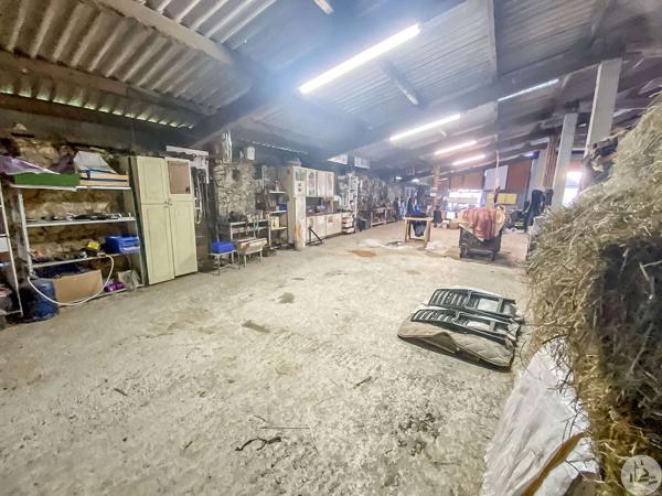 Charmante maison avec dépendances et piscine