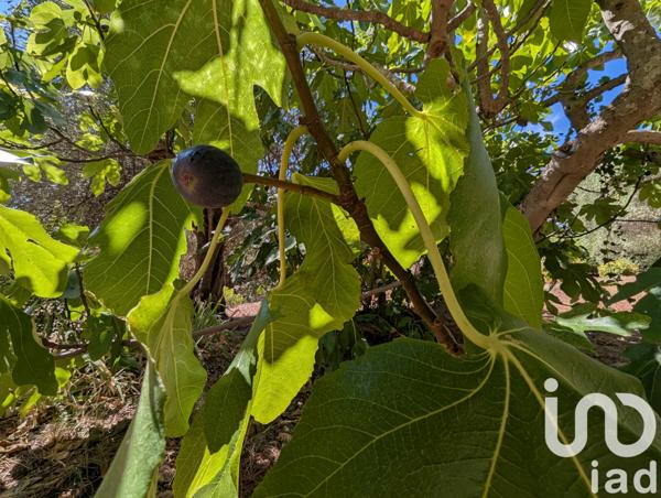 Maison à vendre 5 pièces 133 m² Auribeau-sur-Siagne