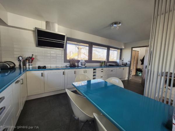 Odos (65310) Maison 280 m2 - Odos - Piscine