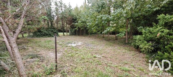 Terrain à vendre 1 480 m² Salses-le-Château