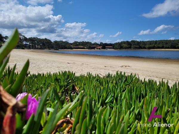 SOUSTONS PLAGE - T2 - SPECIAL INVESTISSEUR
