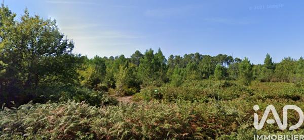 Terrain à vendre 15 674 m² Sainte-Eulalie-en-Born