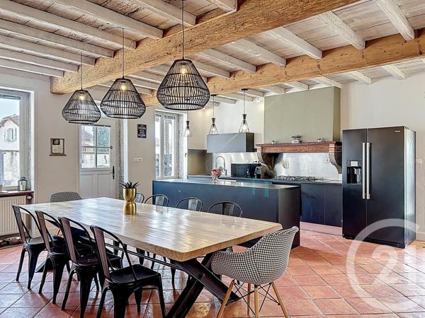 Maison à vendre  7 pièces - 390 m2 VILLIEU LOYES MOLLON - 01