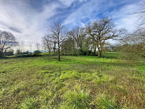 Pomarez (40360) Maison 4 chambres avec grande parcelle terrain et proche commodités