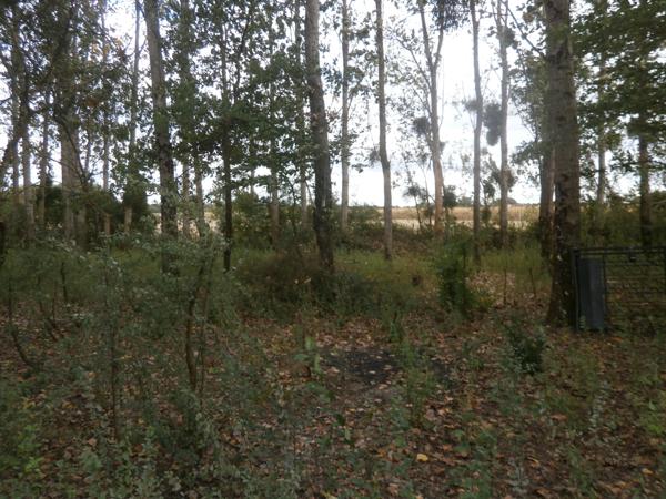 TERRAIN DE LOISIRS 2370 M2 EN PARTIE BOISEE DE PEUPLIERS Saint-Georges-sur-la-Prée (18100)