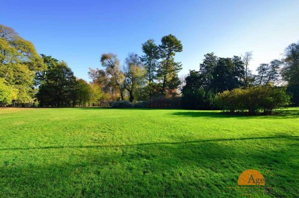 Lège-Cap-Ferret - Terrain à bâtir viabilisé de 876m² environ en lisière de forêt