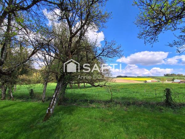 200 m2 habitables, grand garage et grand terrain