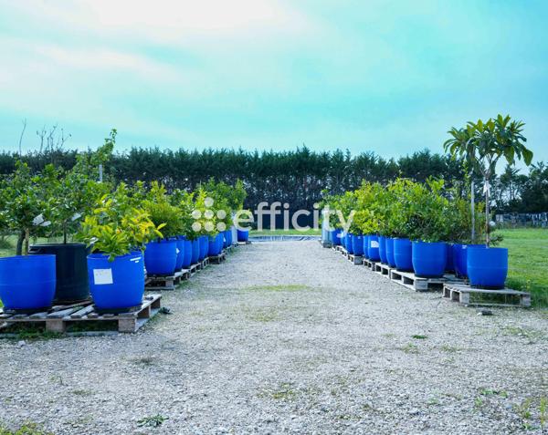 Maison 6 pièces - 380 m²