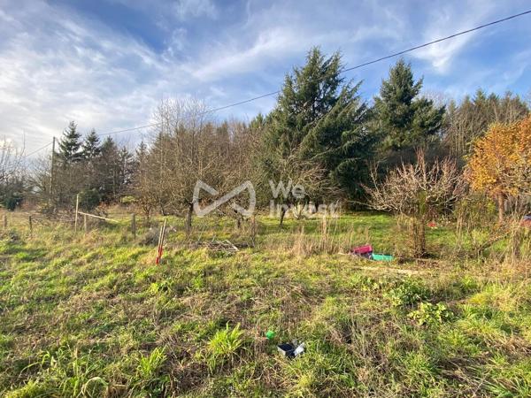 Longère avec 5 800 m2 de terrain à Yvré le Pôlin