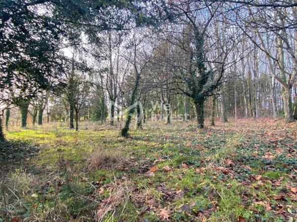 Longère avec 5 800 m2 de terrain à Yvré le Pôlin