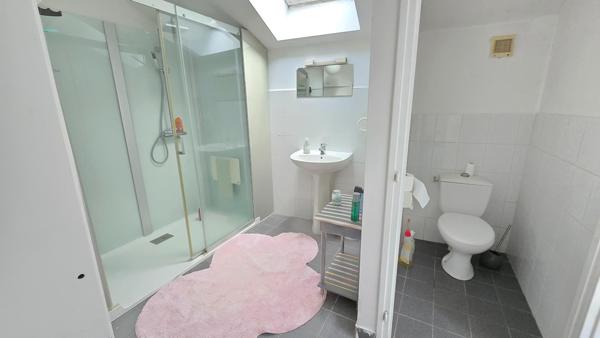 Maison à SEGLIEN, 56160 - 11 pièces 265m²